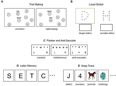 Executive function predictors of science achievement in middle-school students